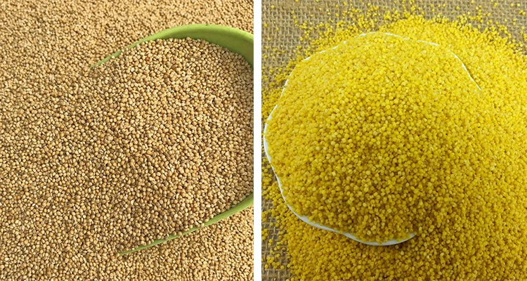 Sweet Corn Packing Machine Oats Grinding Machine Oat Processing Equipment